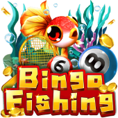 Câu Cá Bingo b 66