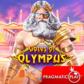 Cổng Olympus b 66